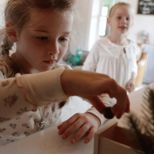 Preview /6909c9ffc7e3440008b72998/2025/11/13/product-img-6915c2c870bd325c84208c69.png