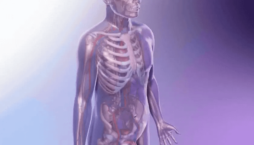 Komodo™ Pelvic Floor Trainer