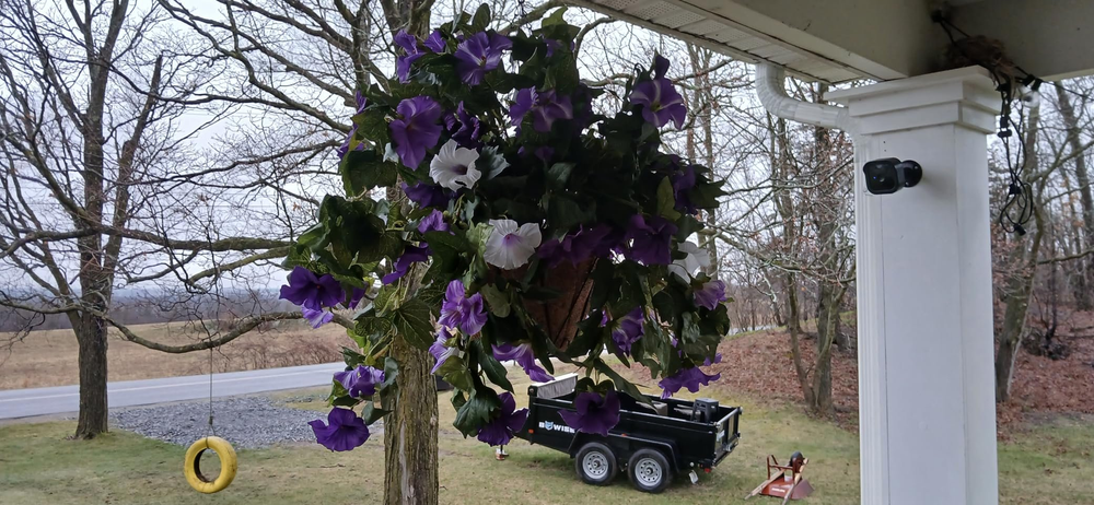 🔥Spring Faux Petunias Silk Flower UV Resistant No Fade Floral