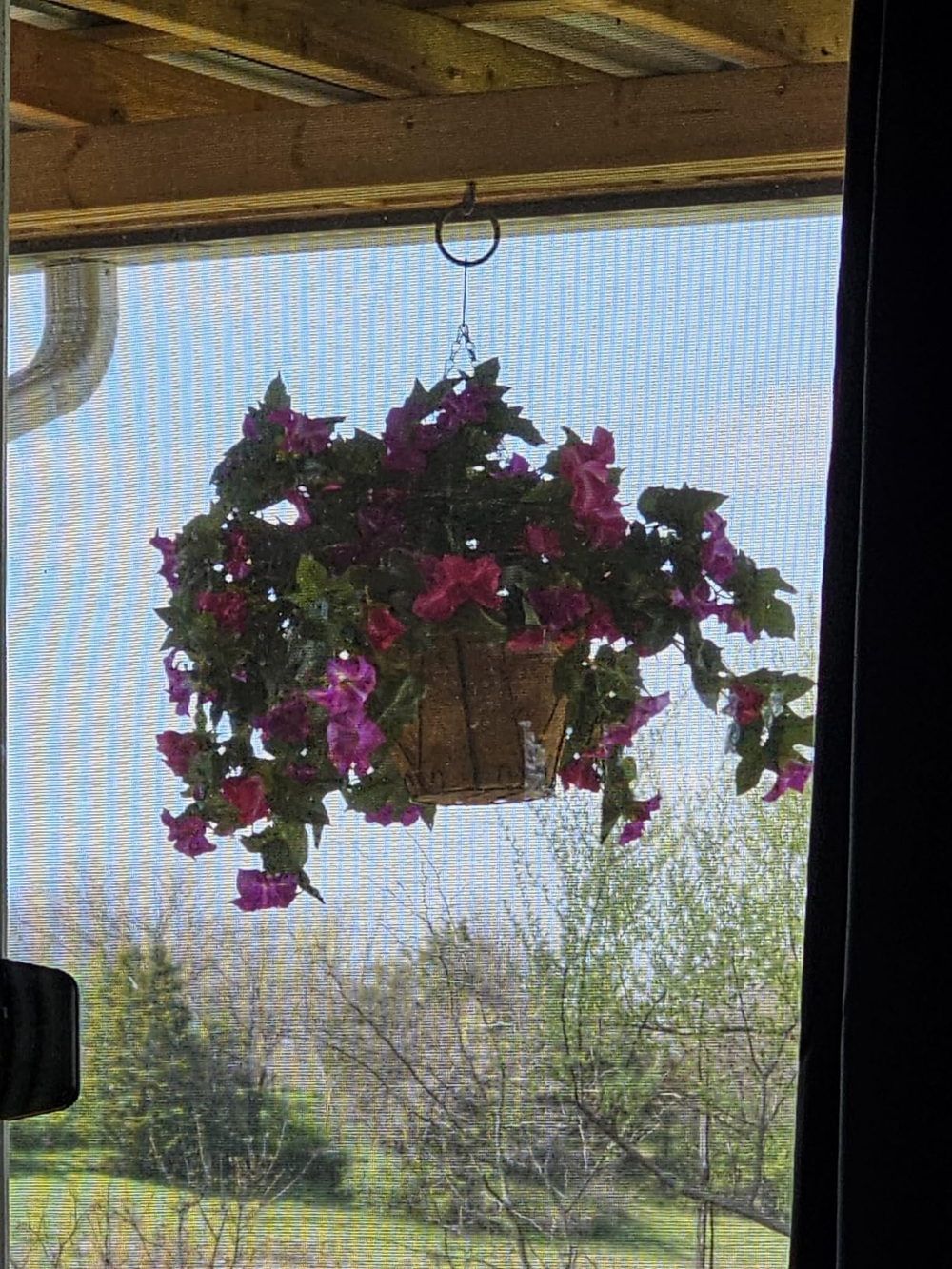 🔥Spring Faux Petunias Silk Flower UV Resistant No Fade Floral